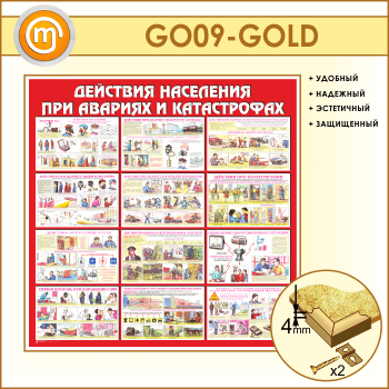        (GO-09-GOLD)